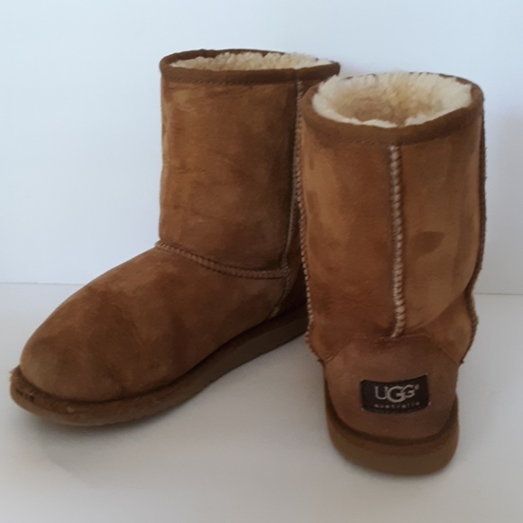 UGG Shoes - UGG CHESTNUT MID CALF